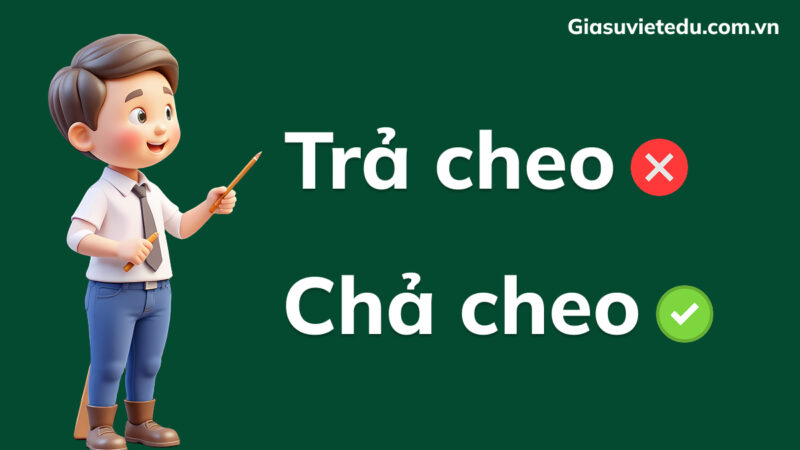 Trả treo hay chả cheo: Từ nào thật sự đúng chính tả vậy?