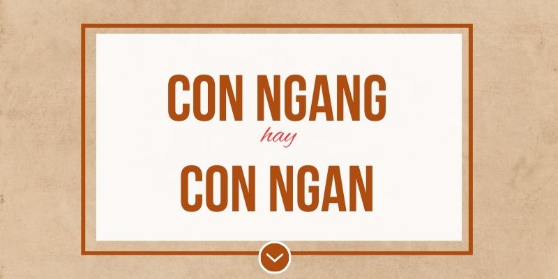 Con ngang hay con ngan đúng chính tả? Ý nghĩa và mẹo ghi nhớ