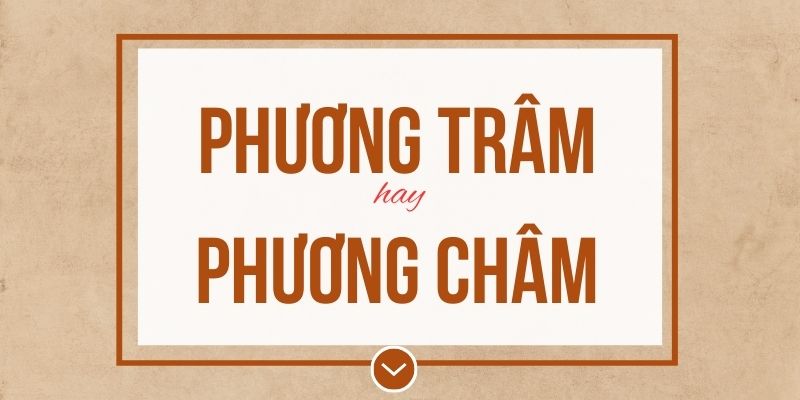 Phương trâm hay phương châm đúng chính tả? Ý nghĩa và mẹo ghi nhớ