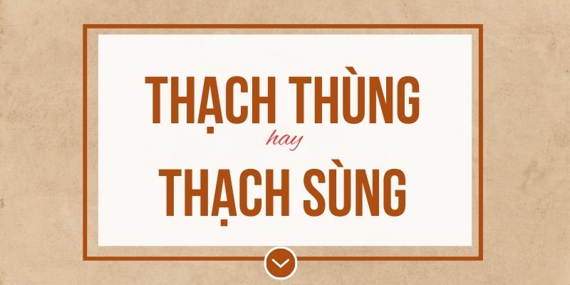 Thạch thùng hay thạch sùng đúng chính tả? Ý nghĩa và mẹo ghi nhớ