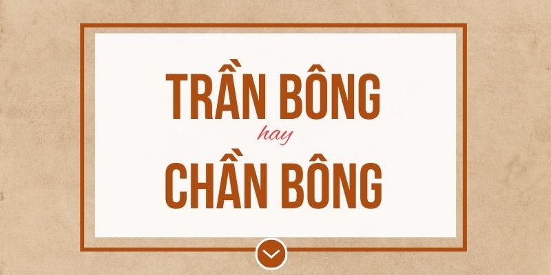 Trần bông hay chần bông đúng chính tả? Ý nghĩa và mẹo ghi nhớ