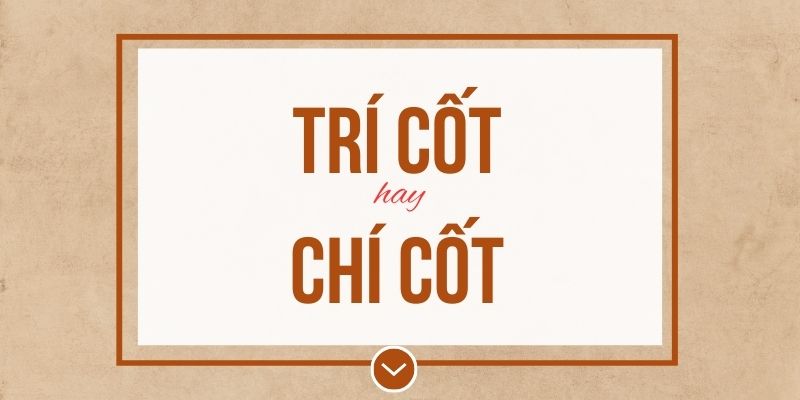 Trí cốt hay chí cốt đúng chính tả? Ý nghĩa và mẹo ghi nhớ