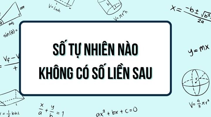 Trong các số tự nhiên số nào không có số liền sau?